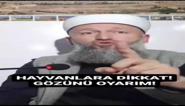Hüseyin Çevik'ten hayvan tepkisi: Görürsem gözlerini oyarım