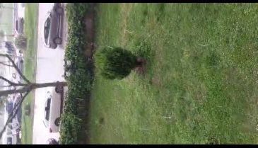 Bursa'da kısa süreli dolu etkili oldu