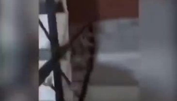 Bayram şekeri almaya gelen çocuğa skandal hareket!