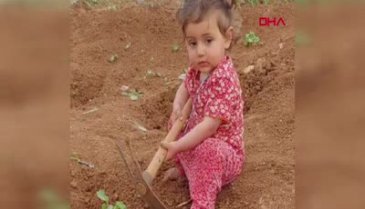 Mardin'de küçük Zekiye babasının geri manevra yaptığı kamyonetin altında kaldı!