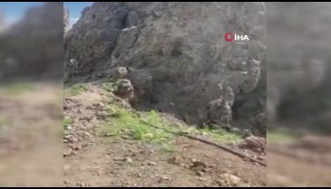 Milli Savunma Bakanlığı 2 PKK'lı teröristin teslim olduğu görüntüleri paylaştı