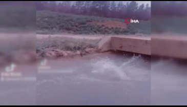 TikTok videosu çekmek için atladığı su kanalından cansız bedeni çıkartıldı
