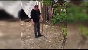 Bursa'da bir vatandaş bahçesine giren yılanı elleriyle yakaladı