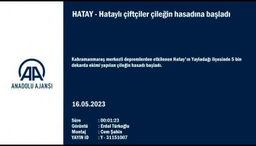 Hatay'daki çiftçilerin hasat mesaisi