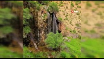 Bingöl'e bahar geldi, koyun sürüleri otlamak için tarlalara indi