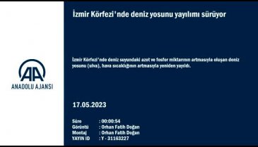 Sıcaklıkların artmasıyla İzmir sahillerini deniz yosunu sardı