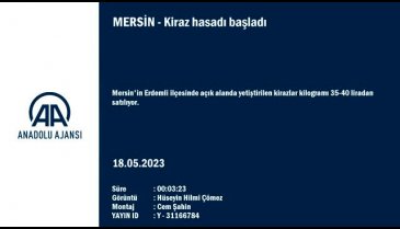 Mersin'de kiraz hasadı başladı