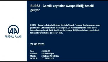 Bakan Varank: Gemlik zeytini sadece Türkiye'de değil dünyada meşhur