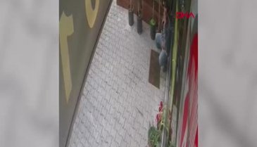 Adana'da hırsızlık için girdi: Kediyi çaldı!