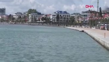 Marmara Denizi'nde zehirli denizanası tehdidi