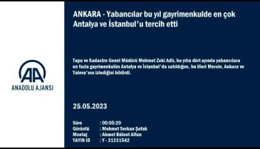 Yabancılar bu yıl gayrimenkulde en çok hangi şehirleri tercih etti? Bursa listede var mı?