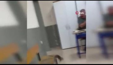 Hatay'da oy kullanımı sırasında fare alarmı!