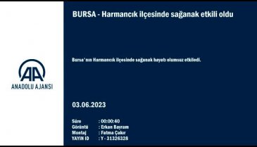 Bursa Harmancık'ta sağanak! Tarım arazileri zarar gördü