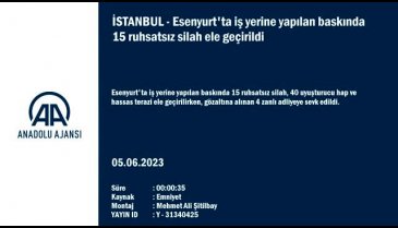 İstanbul'da yapılan baskında 15 ruhsatsız silah ele geçirildi