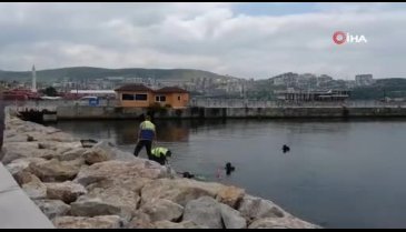 Bursa'da denizden çıkanlar görenleri şaşırttı