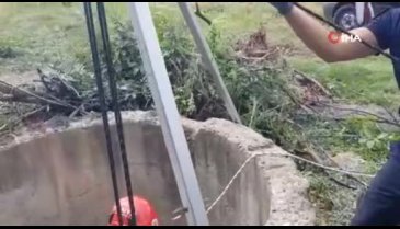 Malatya'da kedi kuyuya düştü! Yardımına itfaiye yetişti