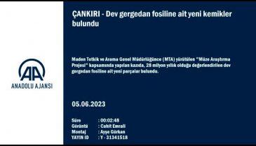Çankırı'da 28 milyon yıllık dev gergedan fosiline ait kemikler bulundu