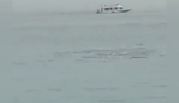 Mısır'da köpekbalığı saldırısına uğrayan turist öldü