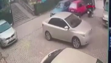 İstanbul'da tepki çeken görüntü; otomobilin ezdiği köpek öldü