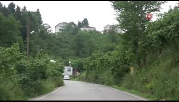 Trabzon'da şap hastalığı alarmı! Hayvan giriş ve çıkışı yasaklandı