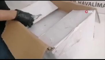 İstanbul Havalimanı'na kargoyla gelen suntalarda 80 kilo uyuşturucu çıktı