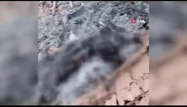 Kongo'da silahlı saldırı! 23'ü çocuk 46 kişi hayatını kaybetti