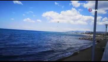 İzmir Dikili'de yangın