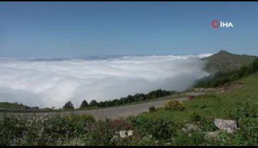 Trabzon'un zirvesinde göğe komşu olan yayla hayran bırakıyor
