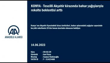 Konya Akşehir'in tescilli kirazında rekolte beklentisi arttı