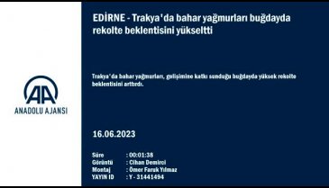 Trakya'da bahar yağmurları buğdayda rekolte beklentisini yükseltti