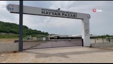 Bursa'da hayvan pazarlarında şap karantinası!