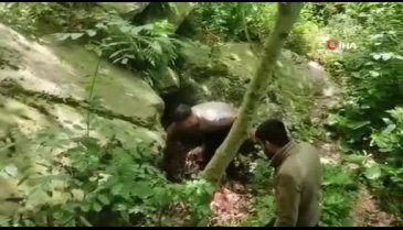 Bursa'da 74 yaşındaki Kadir Fidan'ı arama çalışmaları sürüyor