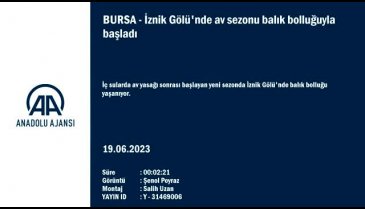 İznik Gölü'nde balık bolluğu yaşanıyor