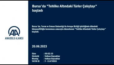 Bursa'da "Tehlike Altındaki Türler Çalıştayı" gerçekleştiriliyor