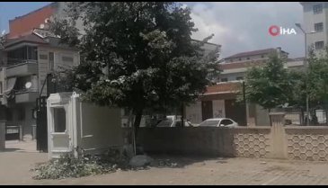 Bursa'da okulun bahçesindeki ıhlamur ağacından düştü