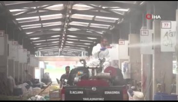 Bursa'da Kurban pazarlarında sinekle mücadele