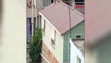 Adana'da mahalleli inatçı keçiyi çatıdan indirmek için seferber oldu