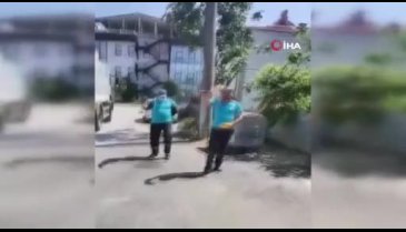 Sakarya'da temizlik işçilerinin dansı yürekleri ısıttı