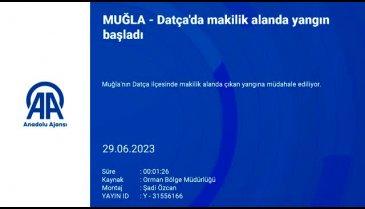 Muğla Datça'da orman yangını çıktı