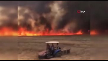 Şanlıurfa'da  buğday tarlası yandı!