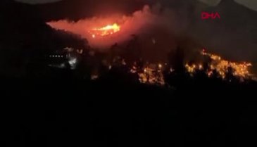 Siirt'te fıstık bahçesinde yangın çıktı! Ormana sıçradı