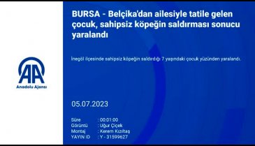 Belçika'dan ailesiyle tatil için Bursa'ya gelen çocuğa sokak köpeği saldırdı!