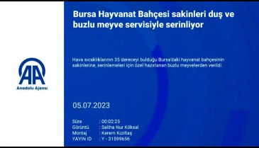 Bursa Hayvanat Bahçesi'ndeki hayvanlara serinlemeleri için buzlu meyve veriliyor