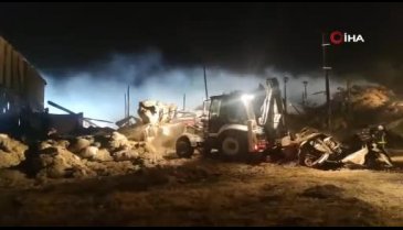 Van'daki korkutan yangın söndürüldü