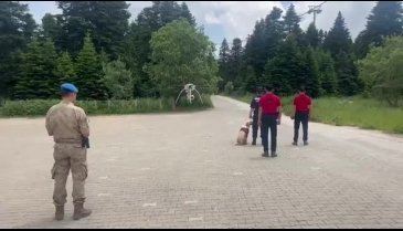 Bursa'da Jandarmadan orman yangınlarına karşı tedbir
