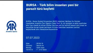 BUÜ'de Türk bilim insanları yeni bir parazit türü keşfetti!