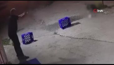 Ağaca bağlı köpeğe kurşun yağdırdı!