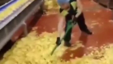 Cips fabrikasında mide bulandıran görüntü