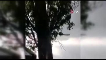 Kars'ta bir evin bahçesindeki ağaca yıldırım düştü