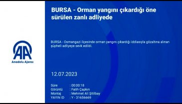 Bursa'da orman yangını çıkardığı öne sürülen sahıs adliyeye sevk edildi